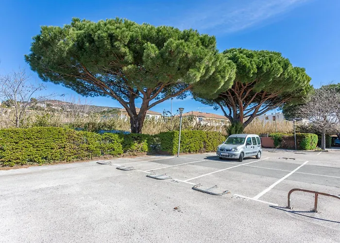 Proche * لو لا فاندو